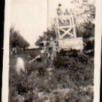 Harvest